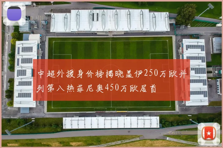 中超外援身价榜揭晓盖伊250万欧并列第八热菲尼奥450万欧居首